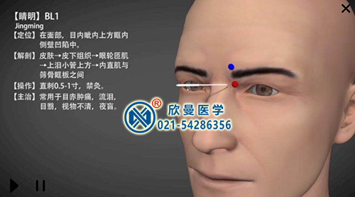 3D版多點(diǎn)觸控中醫(yī)經(jīng)絡(luò)腧穴解剖教學(xué)系統(tǒng)平臺(tái)