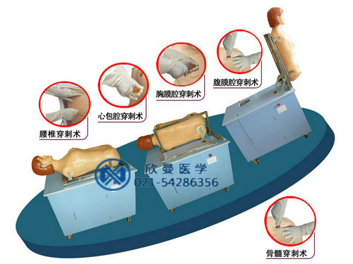 綜合穿刺術(shù)與叩診檢查訓練模擬人模型