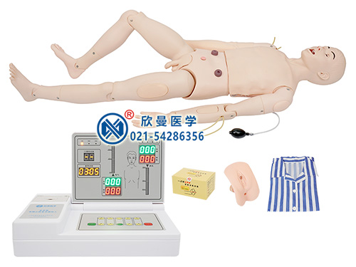 高級(jí)成人護(hù)理及CPR模型人