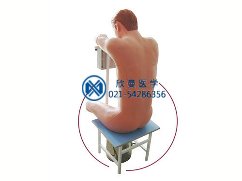 胸腔穿刺模擬人，胸腔穿刺模型人整體結(jié)構(gòu)