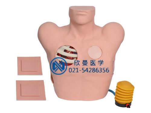 胸腔穿刺模擬人，胸腔穿刺模型人采用電子控制，可自動(dòng)注入液體。