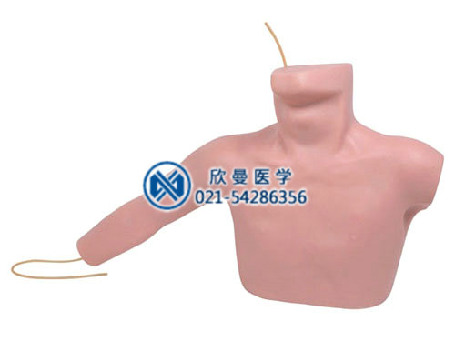 外周穿刺、中心靜脈穿刺插管術(shù)訓(xùn)練仿真模型