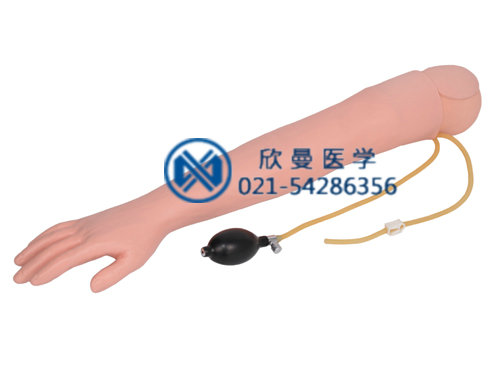 動(dòng)脈穿刺仿真手臂模型