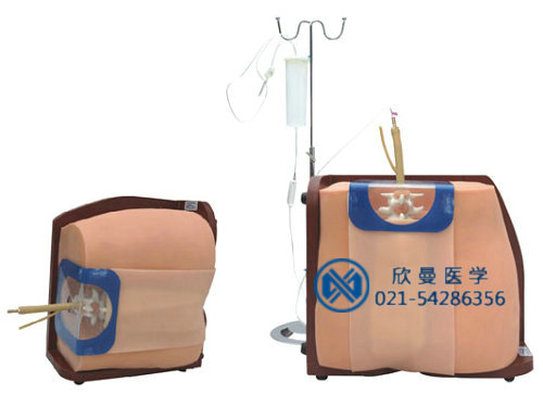 脊椎穿刺模型，脊椎穿刺模擬人