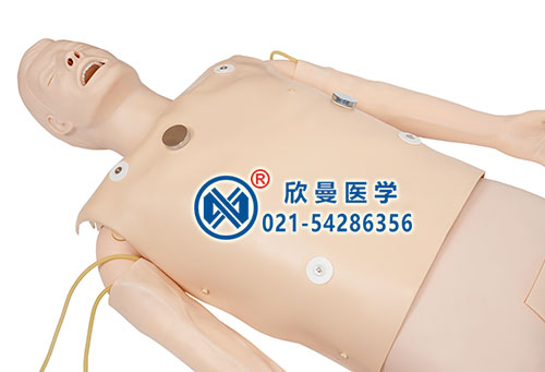 氣管插管、除顫起搏