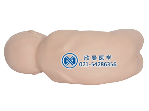 嬰兒腰椎穿刺監(jiān)測考核指導模型