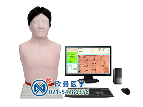 經(jīng)穴學及針刺仿真訓(xùn)練系統(tǒng)