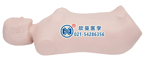 全自動(dòng)腹部觸診聽(tīng)診模擬人整體結(jié)構(gòu)