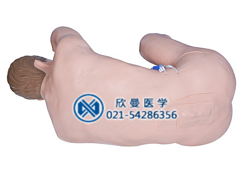 腰椎穿刺監(jiān)測考核指導模型