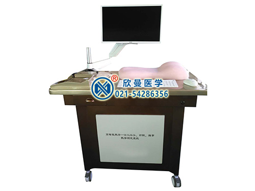 高智能數(shù)字—體化脈象、針刺、推拿、體質(zhì)辨識、問診教學(xué)測定系統(tǒng)