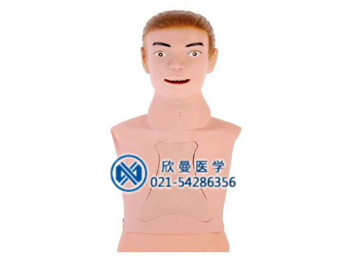 鼻飼模型，鼻胃管與氣管護理模型