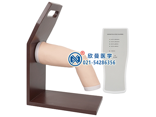 電子肘關節(jié)腔內注射模型
